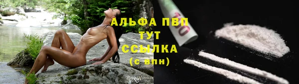 тгк Богданович