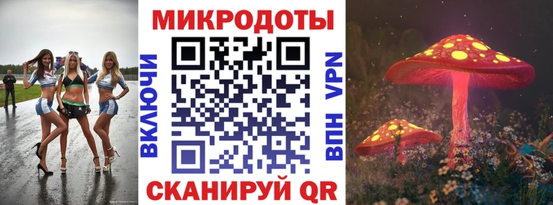 магазин продажи наркотиков  гидра как зайти  Галлюциногенные грибы Psilocybine cubensis  Курильск 